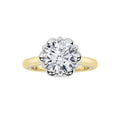 The Alexya Signature: "The Two-Tone Bloom"