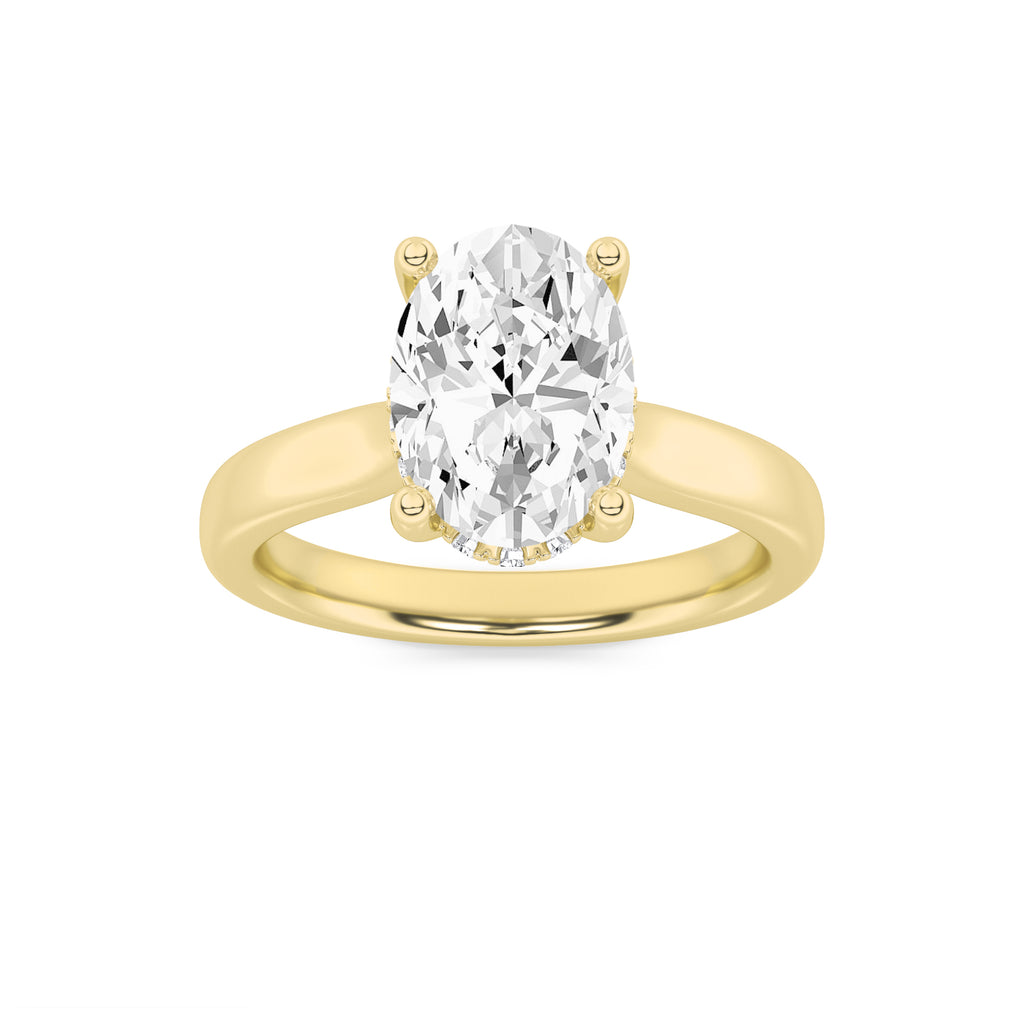 The Margaret Hidden Hallo Cathedral Solitaire Engagement Ring