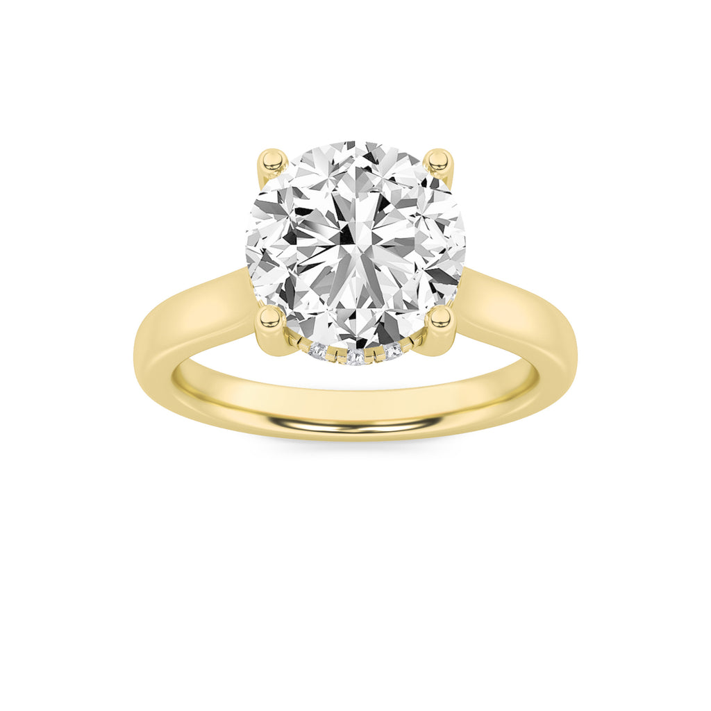 The Margaret Hidden Hallo Cathedral Solitaire Engagement Ring