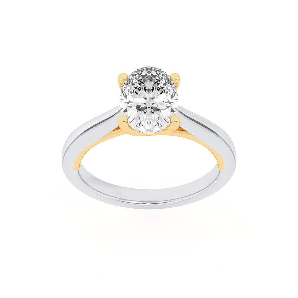 The Charlotte Two Tone Cathedral Solitaire Engagement Ring
