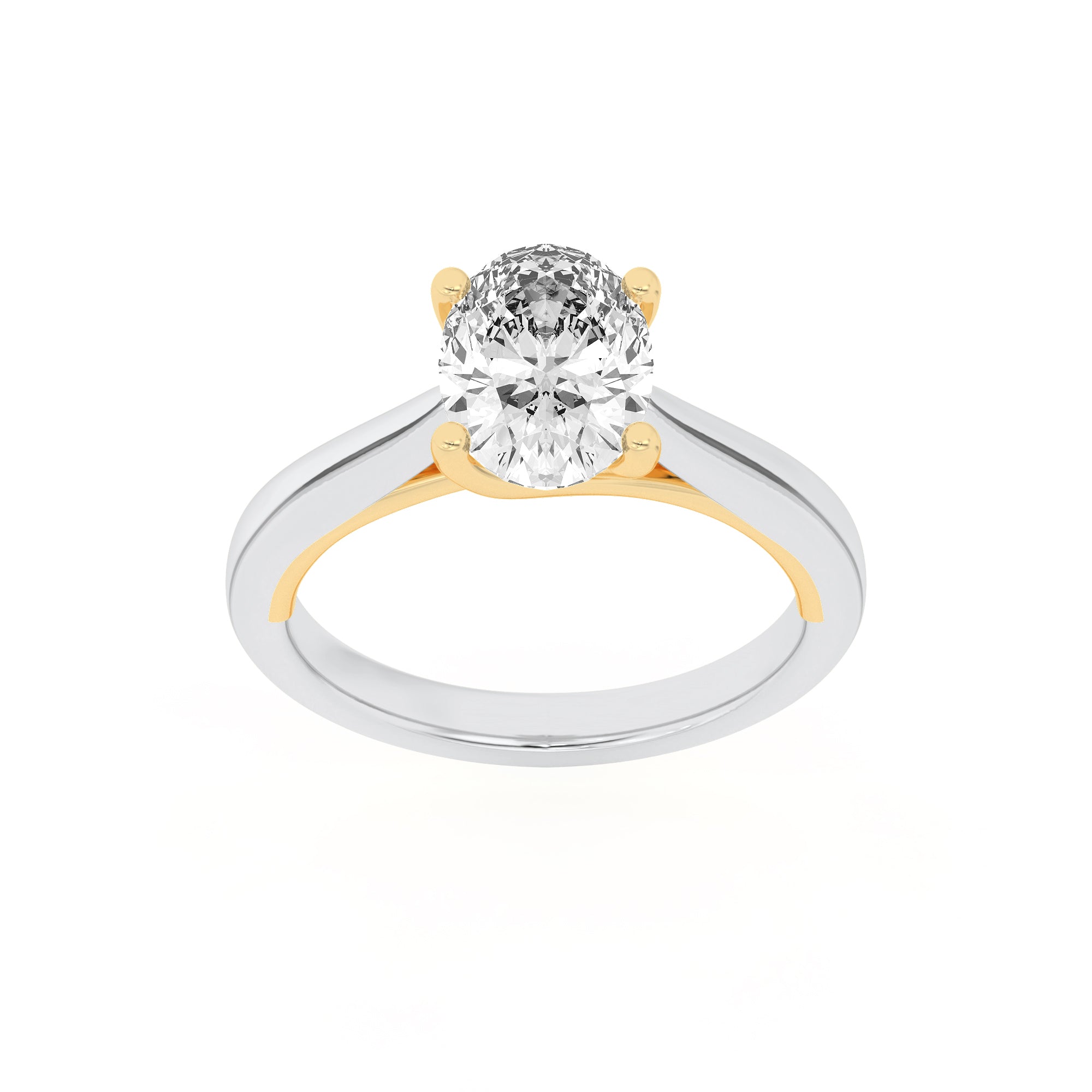 The Charlotte Two Tone Cathedral Solitaire Engagement Ring