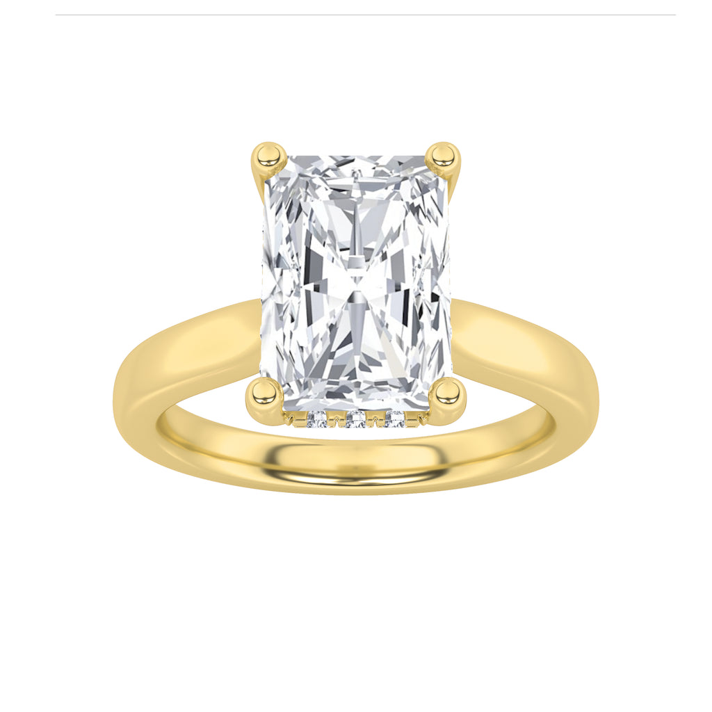 The Margaret Hidden Hallo Cathedral Solitaire Engagement Ring